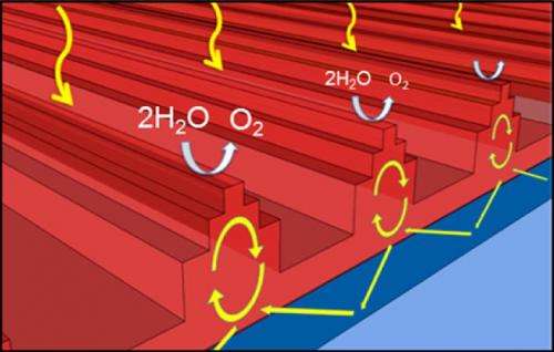 Nanostructures enhance light trapping for solar fuel generation