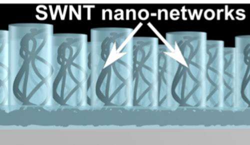 Nanotube composites increase the efficiency of next generation of solar cells