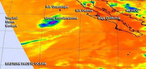 NASA sees post-Tropical Cyclone Norbert fading near Baja California