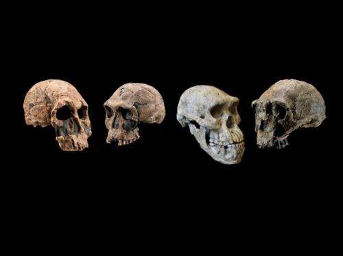 Scientists revise timeline of human origins
