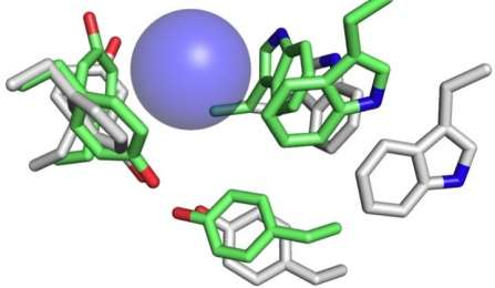 Neurotransmitter binding-site function revealed with unprecedented accuracy