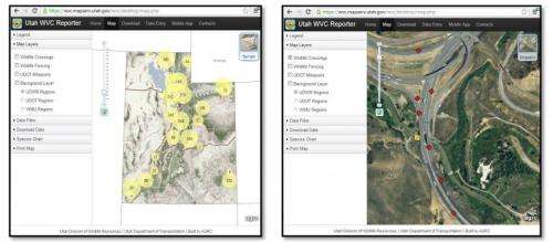 New app collects wildlife-vehicle collision data