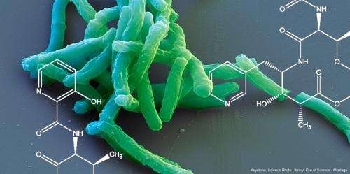 New approach for tuberculosis drugs