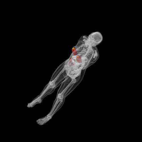 New diagnostic imaging techniques deemed safe in simulations
