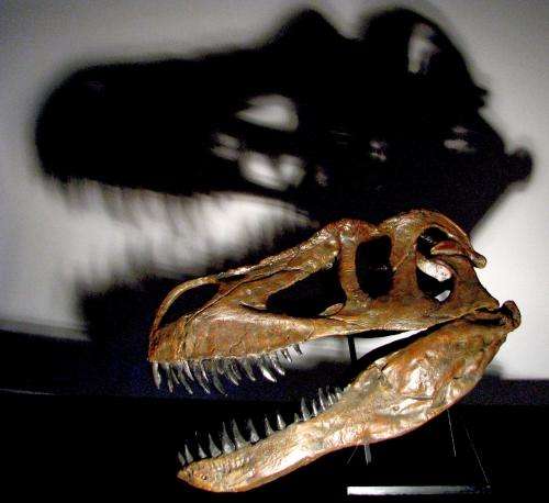 New dinosaur found in Portugal, largest terrestrial predator from Europe