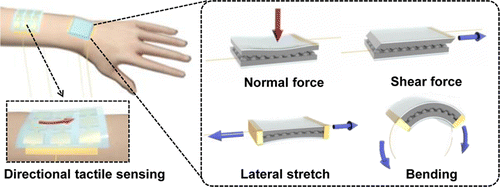 New 'electronic skin' for prosthetics, robotics detects pressure from different directions