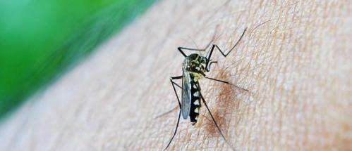 New genetic indicators could help solve malaria puzzle