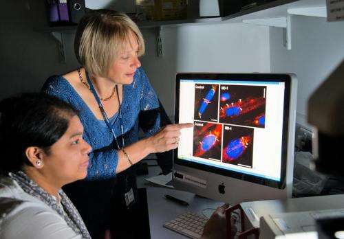 New genetic targets discovered in fight against muscle-wasting disease