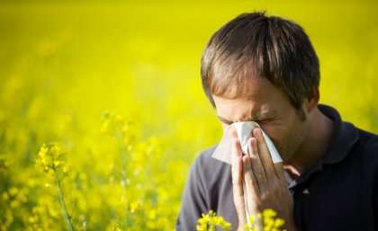 New hay fever blood test nothing to sneeze at