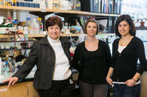 New hope for tough-to-treat breast cancers