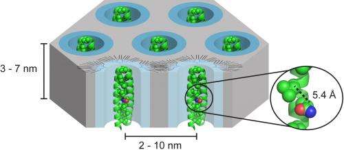 New hybrid molecules could lead to materials that function at the nanoscale