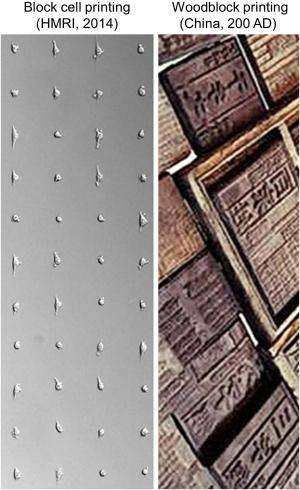 New live-cell printing technology works like ancient Chinese woodblocking