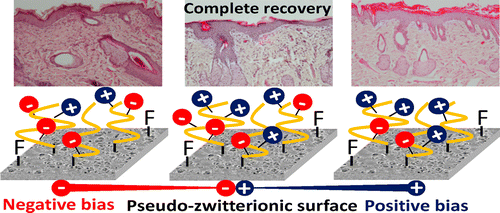 New material improves wound healing, keeps bacteria from sticking