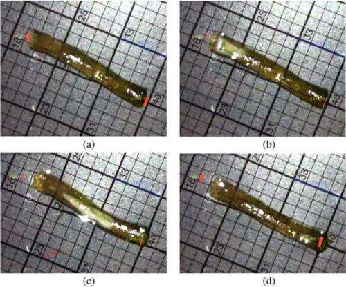 New method of wormlike motion lets gels wiggle through water
