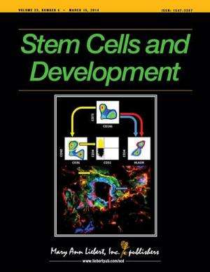 New method yields potent, renewable human stem cells with promising therapeutic properties