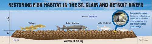 New spawning reefs to boost native fish in St. Clair River