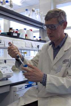 Next generation of bioplastics could be made from trees