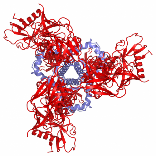 NIH-supported scientists unveil structure, dynamics of key HIV molecules