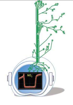 Nitrogen-tracking tools for better crops and less pollution