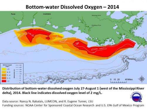 NOAA, EPA-supported scientists find average but large Gulf dead zone