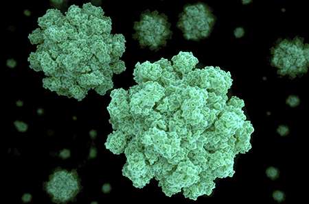 Norovirus in food outlets to be mapped for first time