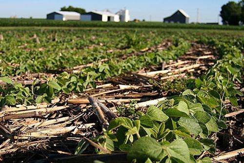 No-till agriculture may not bring hoped-for boost in global crop yields, study finds