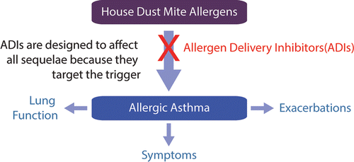 Novel approach to treating asthma: Neutralize the trigger