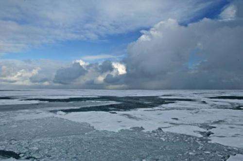 Ocean circulation explains why the Arctic affected by global warming more than the Antarctic