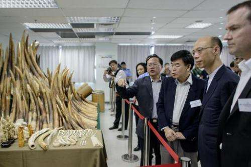 Officials and guests including Hong Kong Secretary for the Environment Wong Kam-sing (2nd R) are shown seized ivory displayed in