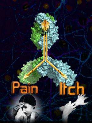One molecule to block both pain and itch
