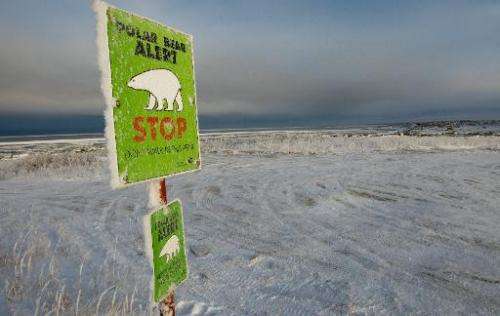 One of many polar bear alert warning signs posted inside the town of Churchill, Manitoba, Canada