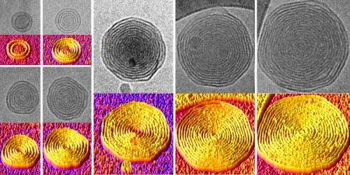 'Onion' vesicles for drug delivery developed