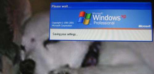 Open source gives new life to old Windows XP machines