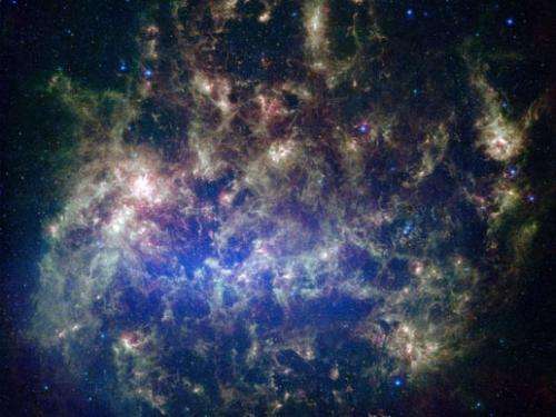 Organic conundrum in Large Magellanic Cloud