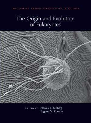 Origin of the Eukaryotic cell:  Part I - How to train your endosymbiont