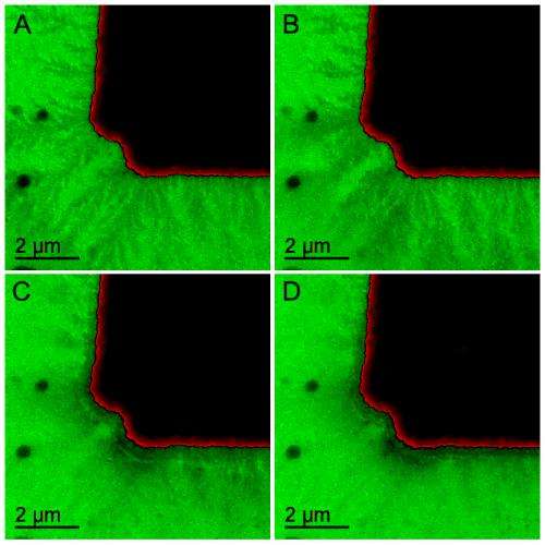 ORNL microscopy system delivers real-time view of battery electrochemistry