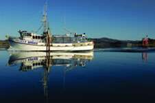 Otago expedition to Subantarctic to track climate change
