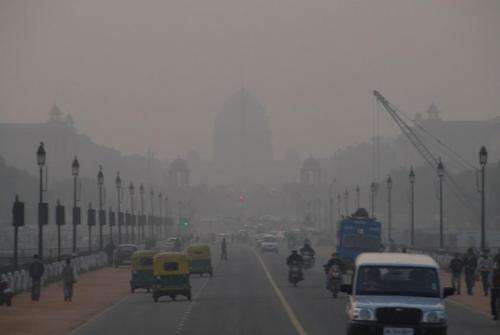 Ozone pollution in India kills enough crops to feed 94 million in poverty