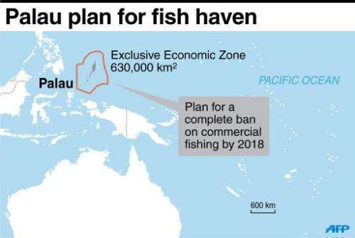 Palau plan for fish haven