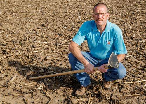 Palmer amaranth threatens Midwest farm economy, researchers report