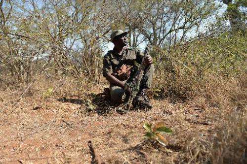 Park ranger Stephen Midzi patrols a section of Kruger National Park, in northern South Africa, scouting for possible poachers on