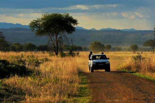 Park wardens drive through the Mikumi National Park, which borders the Selous Game Reserve, in Tanzania on October 13, 2013