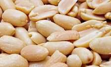 Peanut in house dust linked to peanut allergy in children with skin gene mutation