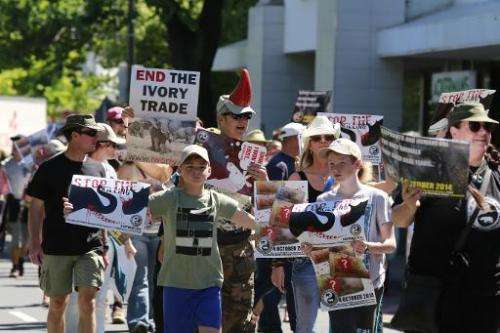 People carrying placards calling for the end to the ivory trade walk through the streets of Stellenbosch during the Global March