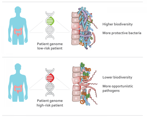 People may inherit 'gut' bacteria that cause Crohn's disease and ulcerative colitis