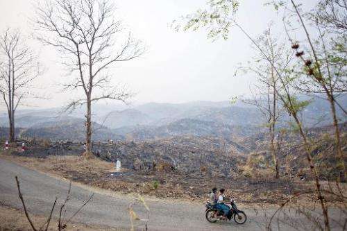 People ride a bike past burnt a teak tree forest in Bago region on April 5, 2014