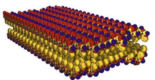 Peptoid nanosheets at the oil-water interface