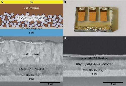 perovskite solar cells