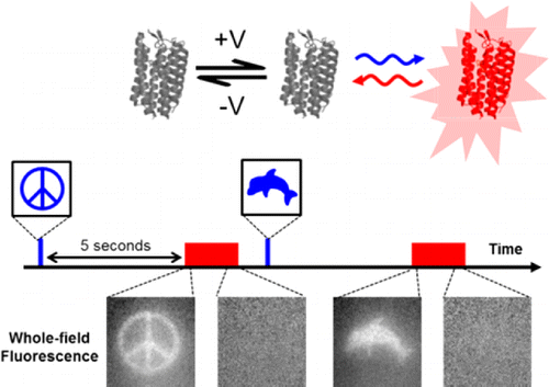 Photochemical imprinting of neuronal activity: A flash memory for spikes
