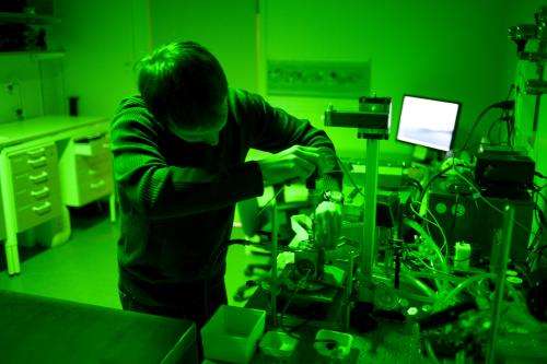 Pioneering findings on the dual role of carbon dioxide in photosynthesis